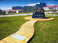 安徽天华矿业集团